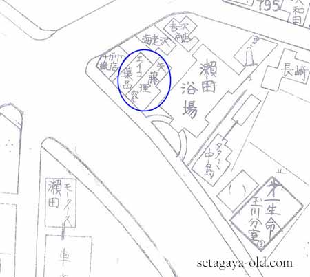 上野毛4丁目39住宅地図