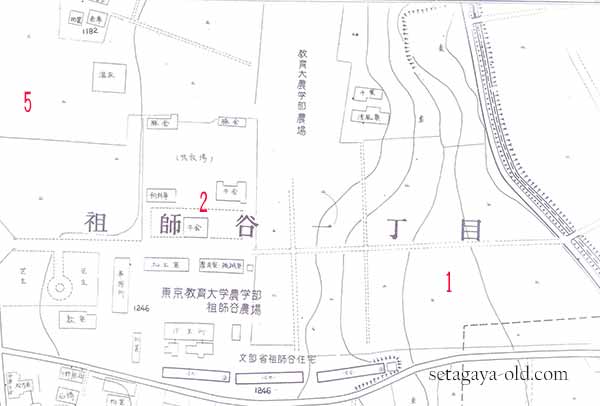 上祖師谷4丁目1住宅地図