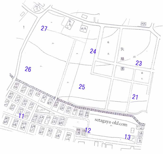砧1丁目11住宅地図