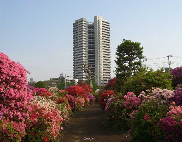 西沢つつじ園