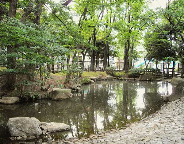 駒沢緑泉公園