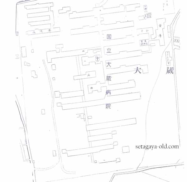 大蔵2丁目10住宅地図