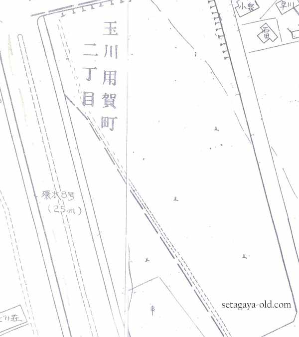 玉川台2-39アメリカ村住宅地図
