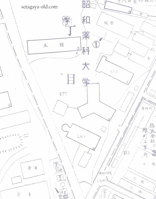 弦巻5丁目昭和薬科大学住宅地図